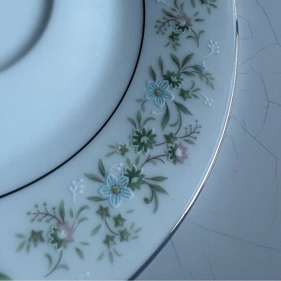 Savannah (Rim, Platinum)
by NORITAKE replacement pieces 2 Salad plates 4 desert - Picture 4 of 5